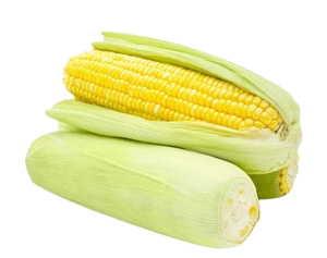 Gambar Jagung Manis Kulit Bkl PCS